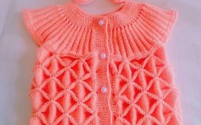 Yelek Ornekleri Resimli Orgu Modelleri