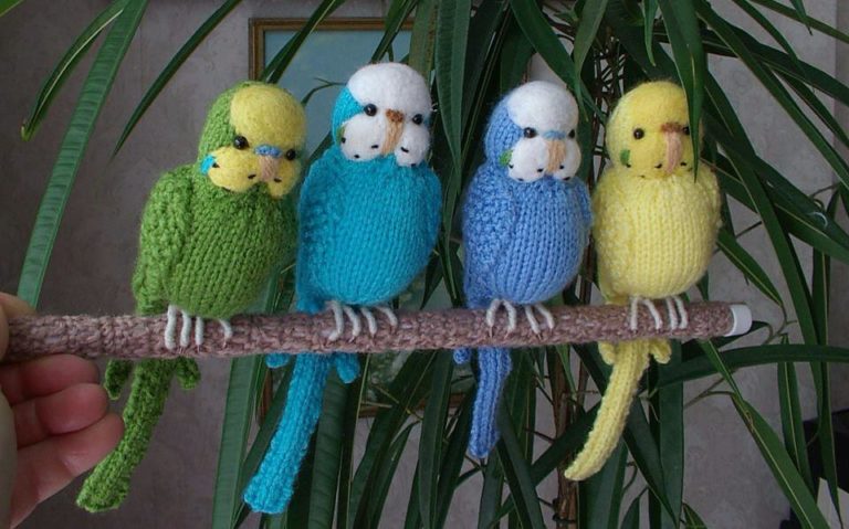 El örgüsü muhabbet kuşları